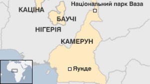 У Камеруні ісламісти захопили сімох французів