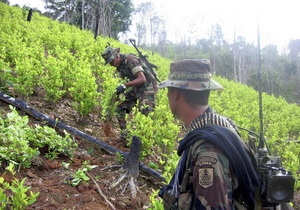 Новини Колумбії - Колумбійські повстанці вимагають легалізувати посіви марихуани, коки і опійного маку