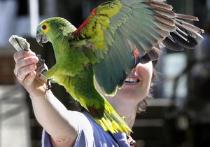 Новини Нової Зеландії - У Новій Зеландії папуга пограбував туриста на більш як тисячу доларів