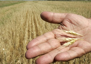 Ринок зерна може вийти з-під контролю влади - Ъ