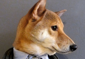 Світ моди підкорює новий fashion-блогер - пес на прізвисько Бодхі