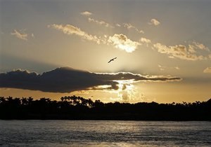 Поляк під час шторму намагався доплисти з Папуа-Нової Гвінеї в Австралію на плоту з гілок