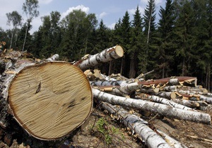 Навальному пред явили остаточне звинувачення у справі розкрадання лісопродукції