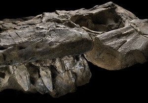 У Неваді знайшли останки найдавнішого хижого іхтіозавра
