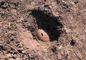 У Тернопільській області під час копання могили знайшли 100-кілограмову бомбу