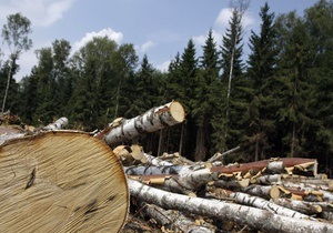 Екологи: Закон регіонала Мірошниченка дозволить вилучати ліс в інтересах бізнесу