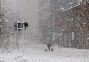 На Алясці сліпий собака знайшов дорогу додому в сніжну бурю