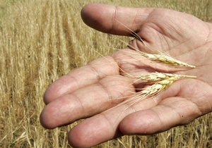 Урожай зернових у 2012 році в Україні склав 46,2 млн тонн