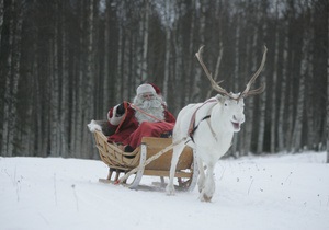 Вчені з ясували, чому в оленя Санта-Клауса червоний ніс