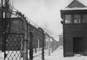 Єврейські організації зірвали розпродаж колючого дроту з нацистського концтабору