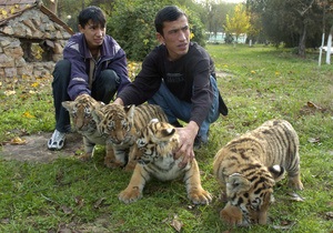 У Ташкенті директора зоопарку заарештували за розкрадання коштів, виділених на утримання тварин