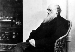 На виборах до Конгресу США чотири тисячі мешканців Джорджії проголосували за Дарвіна