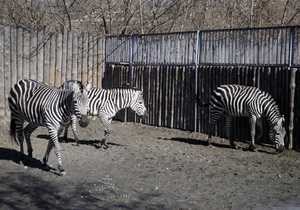 Київський зоопарк змінює графік роботи