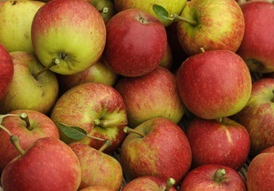 Україна збільшила експорт яблук втричі