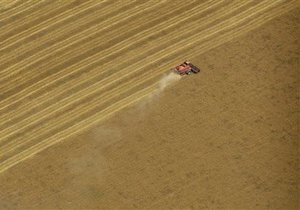 ЄС розчарований рішенням української влади припинити експорт пшениці