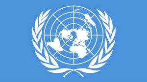 Країни-учасниці ООН вказали Києву на проблеми з правами людини