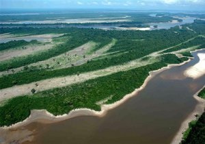 Нафтові гіганти планують видобувати газ в амазонських джунглях