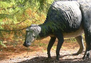 Качкодзьобі динозаври пережовували траву краще від коней - вчені