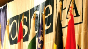 ОБСЄ: Місія спостереження за виборами в Україні не стає на чийсь бік