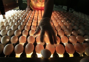 Крупнейший производитель яиц в Украине намерен наладить поставки биогаза в Евросоюз
