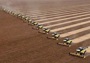 Україна може ввести мораторій на експорт пшениці