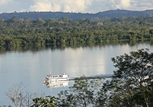 Тропічні ліси Амазонії можуть провокувати випадання опадів - вчені