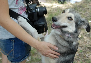 У Київському парку Оболонь відкриється зона вигулу для собак