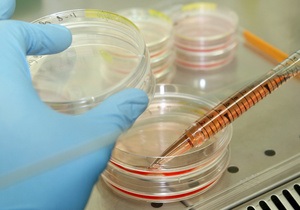 У США помела перша людина, що заразилася новим штамом свинячого грипу