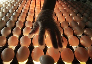 Найбільші в Україні виробники яєць показали різке зростання прибутку в першому півріччі