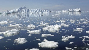 В Арктиці стрімко зменшилася площа криги