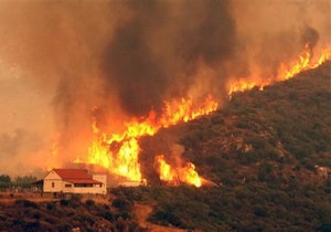 Грек підпалив ліс через те, що його не взяли в пожежники