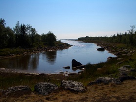 Дефіцит води: сільське господарство потребує нових технологій