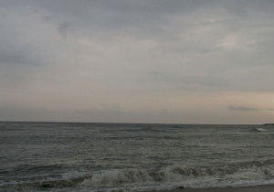 DW: Морські водомірки мають зиск від пластикового сміття в океані