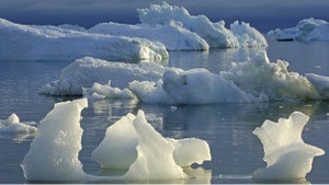 Площа криги в арктичних водах прямує до рекордного мінімуму