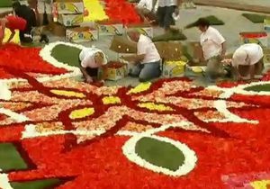 Центральну площу Брюсселя прикрасили величезним квітковим килимом