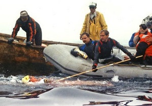 ВВС: Заплив, який розтопив кригу холодної війни