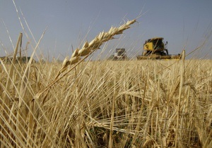 США знизили прогноз урожаю зерна в Україні
