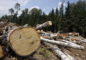 Прокуратура Києва організувала перевірку інформації про вирубку дерев у Святошинському лісі