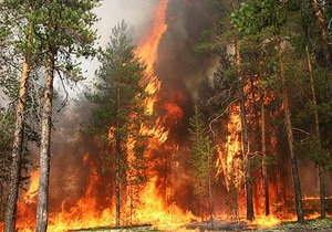 Азаров повідомив, що пожежу в Херсонській області локалізовано