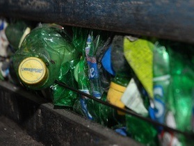 Волонтери з Британії збирають у Харкові сміття