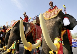 У Таїланді на церемонії за участю прем єр-міністра слон затоптав людину