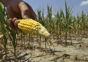 У США через найсильнішу за 10 років посуху фермерам дозволили брати дешеві кредити