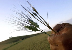 Україна зібрала майже 5 млн тонн зерна