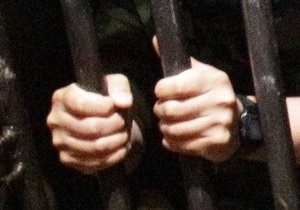 Ківалов: ПАРЄ сформулює загальне поняття  політичний в язень 