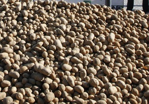 Росія обмежила завезення картоплі з Єгипту