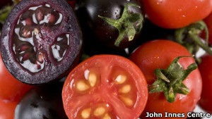 Позначка  Без ГМО  може зникунти з частини продуктів