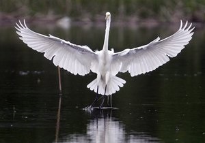 Прогноз погоди на п ятницю, 13 квітня