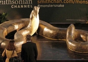 Вчені виявили, що на Землі жив удав вагою понад тонну