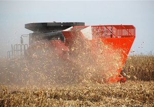 Уряд пропонує корпоратизувати державну продовольчо-зернову корпорацію