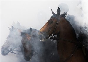 Телеканал HBO зупинив зйомки серіалу з Дастіном Хоффманом після загибелі коней